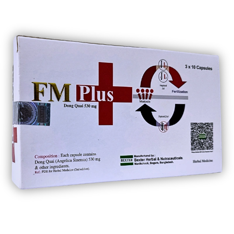 FM Plus